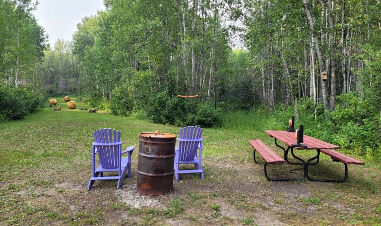 A photo of the 100 yard archery range. The image shows two lawn chairs with an old barrel in between them located to the left of a picnic bench. To the left side shows the target range itself with fiberglass balls to attach targets to as well as targets that look like various animals scattered throughout the 100 yards.